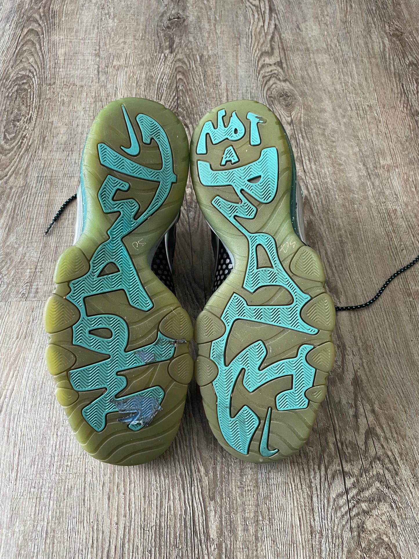 (10.5) NIKE Barkley Posite Max “Splatter”